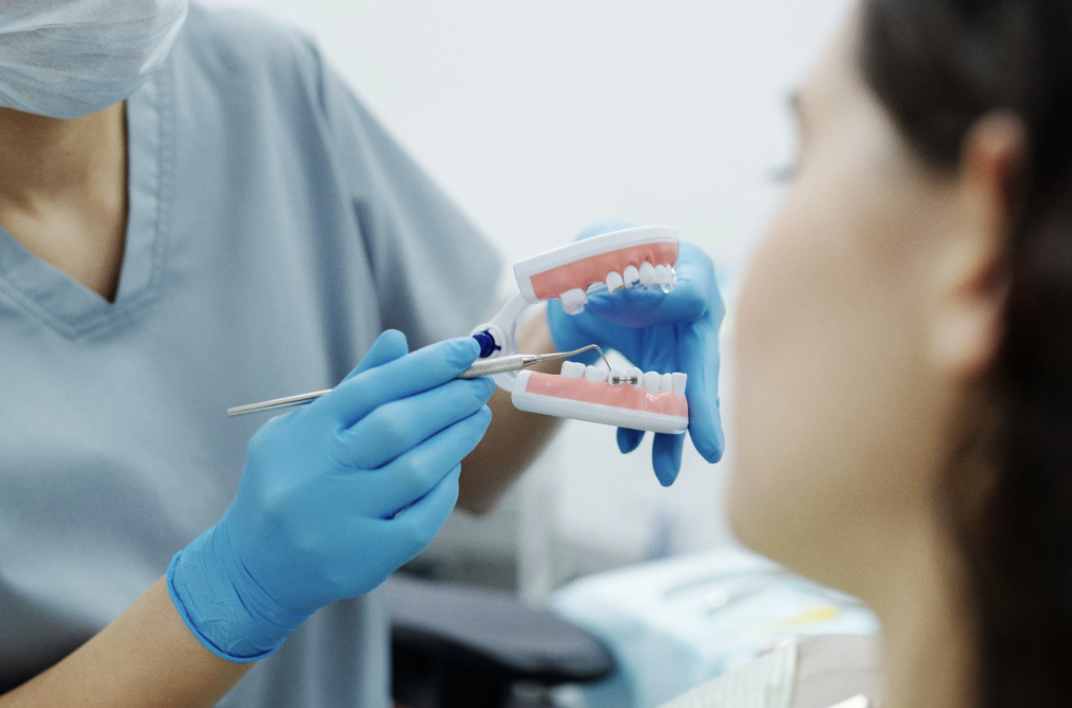 Dentist demonstrating proper dental care on a model of teeth to a patient during consultation.